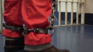 Medidas de detenção — detenção e coerção processual